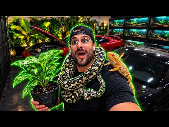 I Filled my SPORTS CAR With PLANTS for my EXOTIC REPTILES!