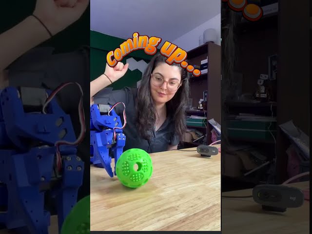 Can Rust Beat Python in Robotics?
