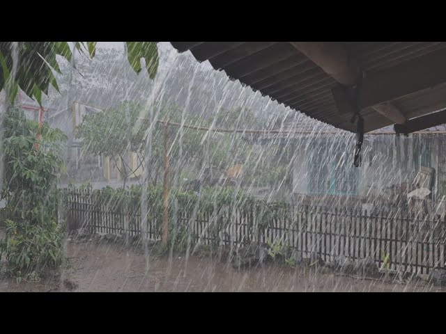 Super heavy rain in the quiet and peaceful countryside, makes sleep even deeper