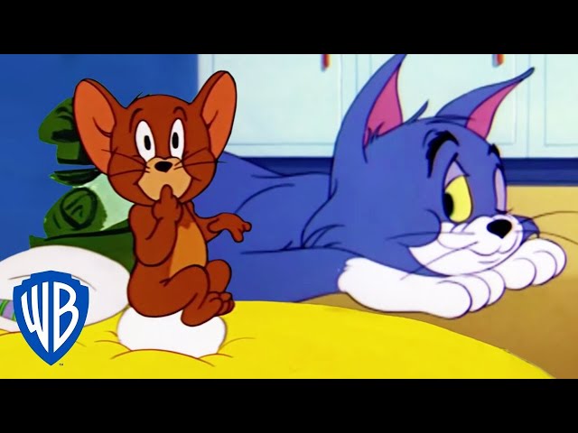 Tom y Jerry en Latino | Dibujos animados clásicos 115 | WB Kids