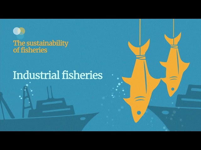 3. BIOLOGICAL RESOURCES