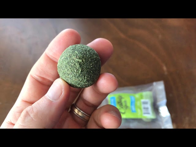 Catnip Ball For Cats: Are These Any Good?