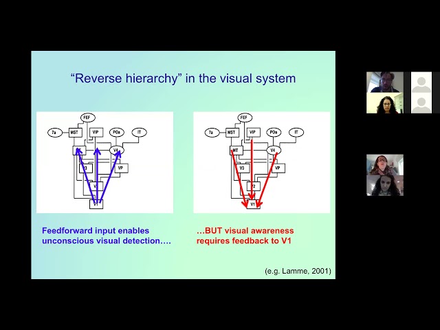 Prof Juha Silvanto on "Role of primary visual cortex (V1) in visual awareness: insights from bli..."