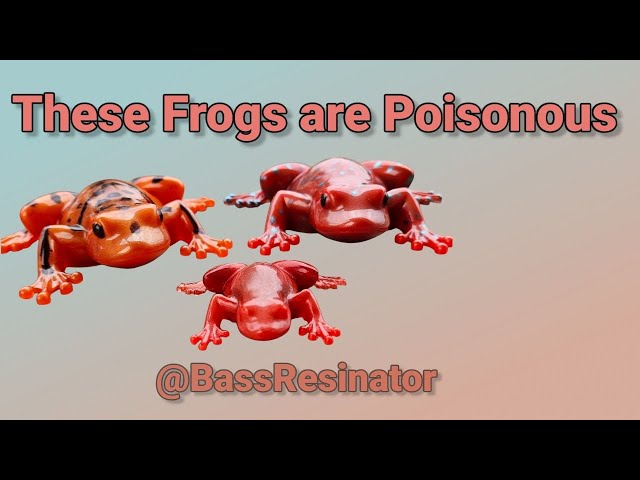 These Frogs ARE Poisonous