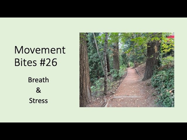 3 Movements to Melt Stress & Shift Your State - Movement Bites #26