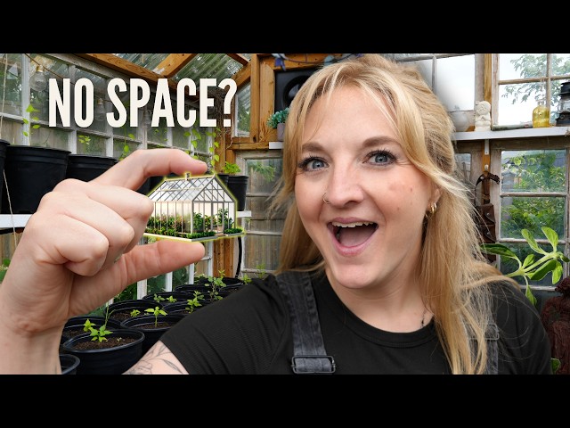 I made the cutest tiny greenhouse for my patio (full build process)