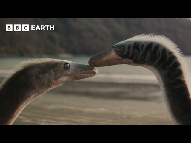 The Evolutionary Power of Being Attractive | Evolution | BBC Earth Science
