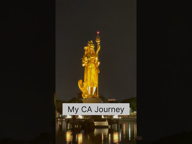 My CA journey in 24 seconds ❤️ #ca #study #caexams #studytips #neet #motivation #icaica