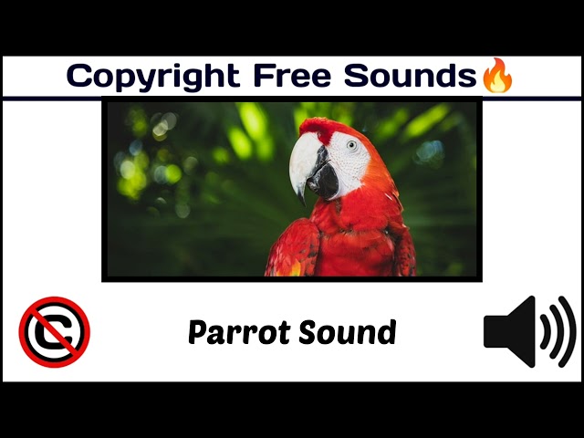 Parrot Sound /Popular Animal Sounds / Birds Sound/ #royaltyfree  /[ Copyright Free Animal Sounds ]