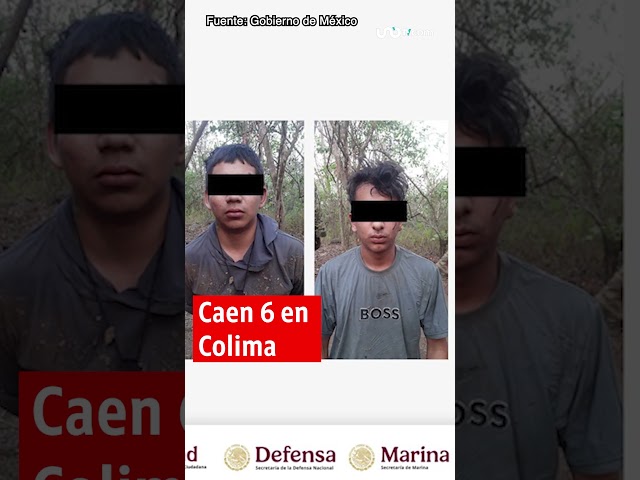 Noticias de hoy 15 de diciembre de 2025, en un minuto, hasta las 19:00 horas