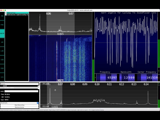 Raw data from a thermoacoustic brain decoder