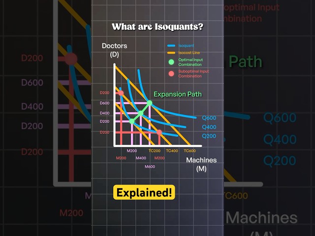Isoquants Explained: A Healthcare Example