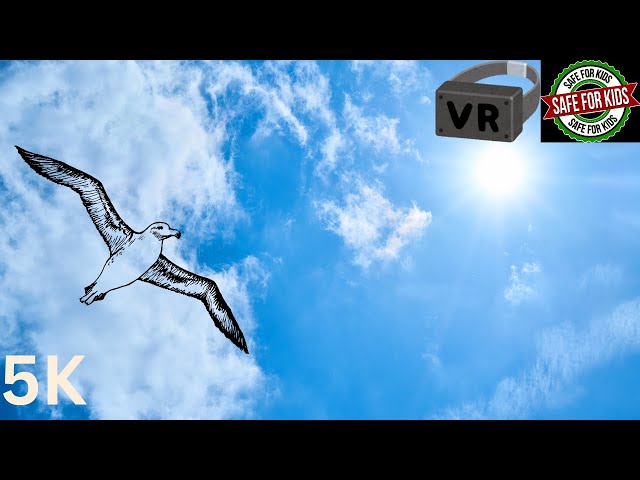 VR Mode: Sunny Skies at San Diego