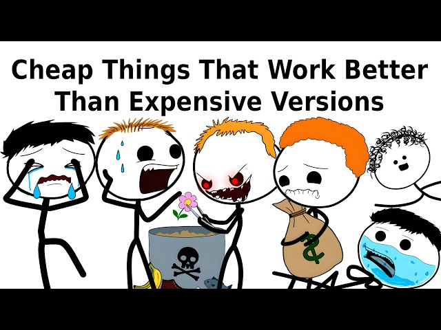 Cheap Things That Work Better Than Expensive Versions