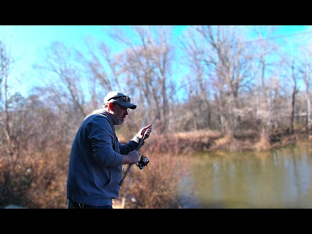 This New Creek Has A Little Bit Of Everything