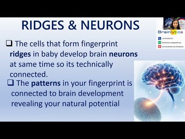 Brainlytics Video 2 - DMIT