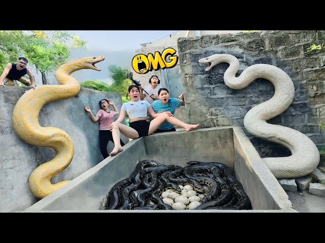 Brave Experts Use High-Tech Snake Detectors to Locate Giant Python Nest to Rescue Ethnic Girl