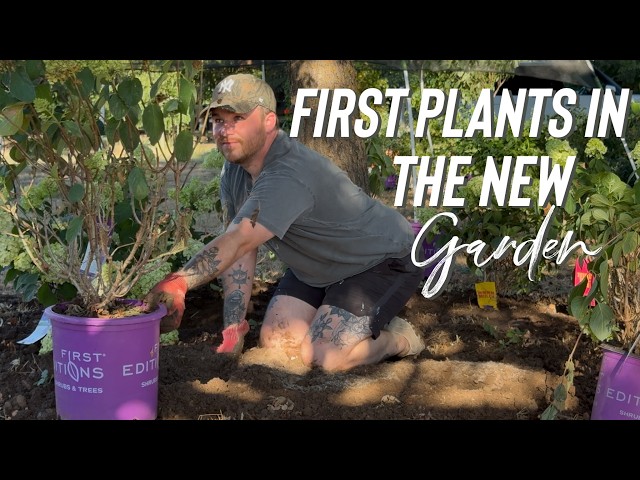 Trasladando el jardín y comenzando oficialmente el nuevo