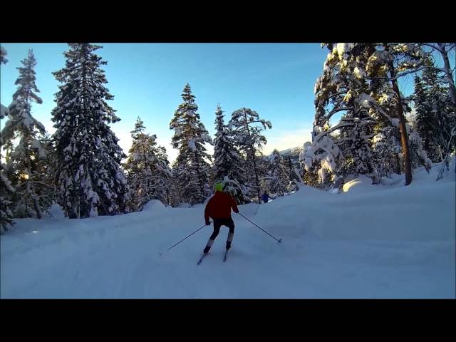 Voss FHS - Fjellski