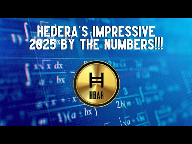 Hedera's Impressive 2025 By The Numbers!!!