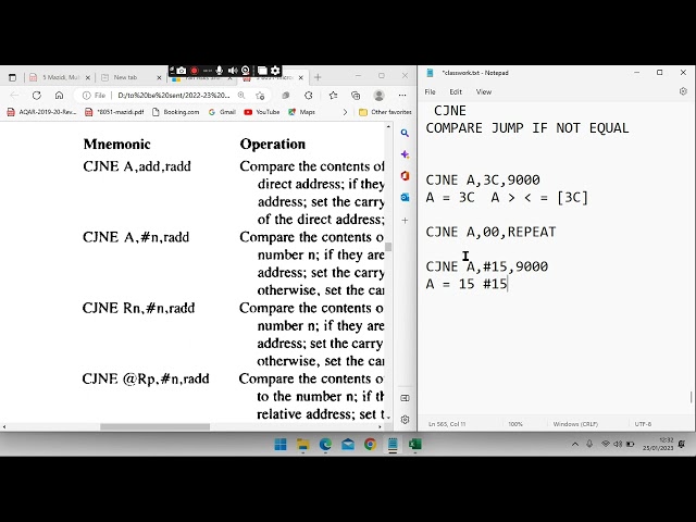 JNZ AND CJNE DEMO VIDEO