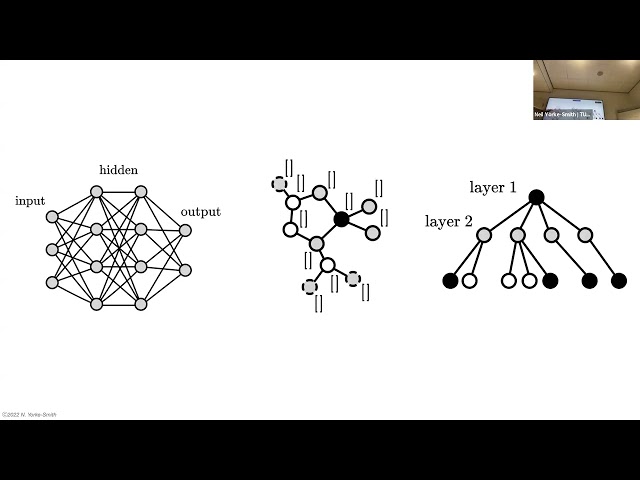 Neil Yorke-Smith - Optimising (Graph) Neural Networks Using Exact Solvers,