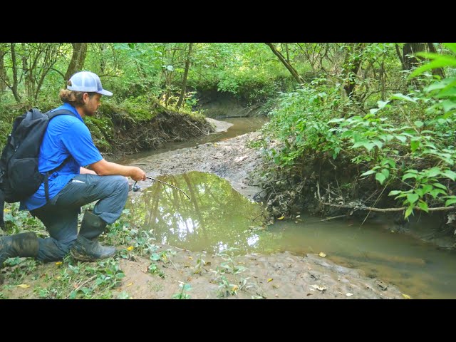 Fishing in a TINY CREEK!?