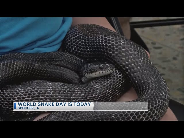 World snake day is today