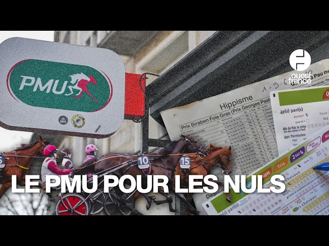 Tiercé, Multi, Quinté... Comment ça marche ? Le PMU pour les nuls