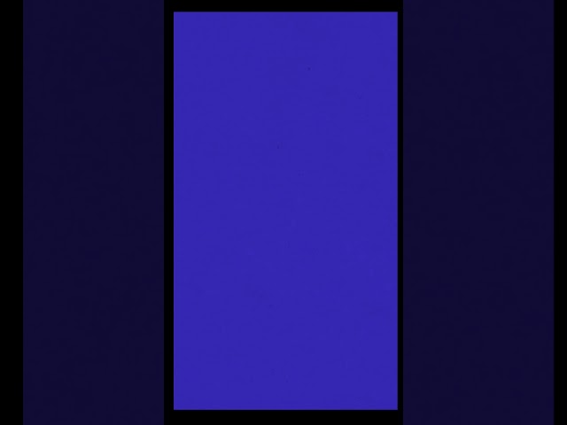 Data Gathering and Scraping in Python using Python APIs