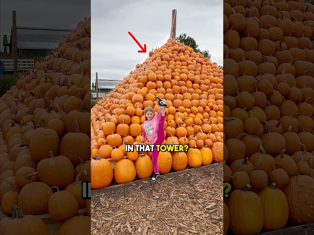 WORLDS BIGGEST🎃🎃PUMPKIN Tower
