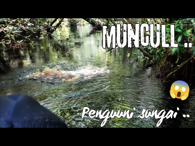 " SUNGAI BERUANG " INDAH DAN TENANG .. TETAPI MENGHANYUTKAN .. 😱😰 ..
