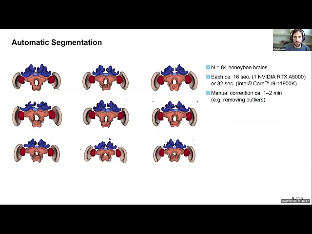 VIA Webinar: (Semi-) automated segmentation of biological images with Biomedisa and 3D Slicer