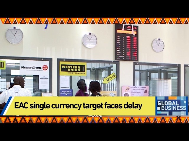 EAC single currency target faces delay