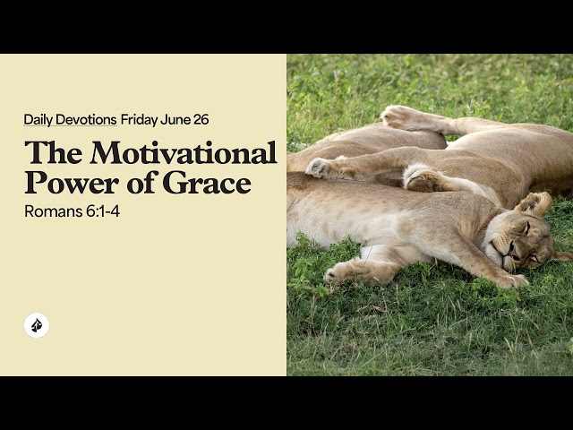 The Motivational Power of Grace – Daily Devotional