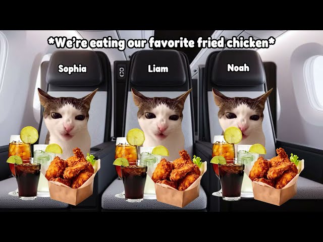 CAT MEMES FAMILY ROAD TRIP STORY (THAILAND)