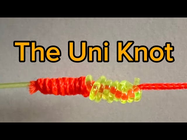 Double Uni Knot Made Easy: Tie Like a Pro in No Time