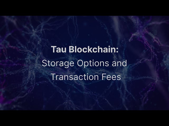 Tau Blockchain: Storage Options and Transaction Fees 🚀
