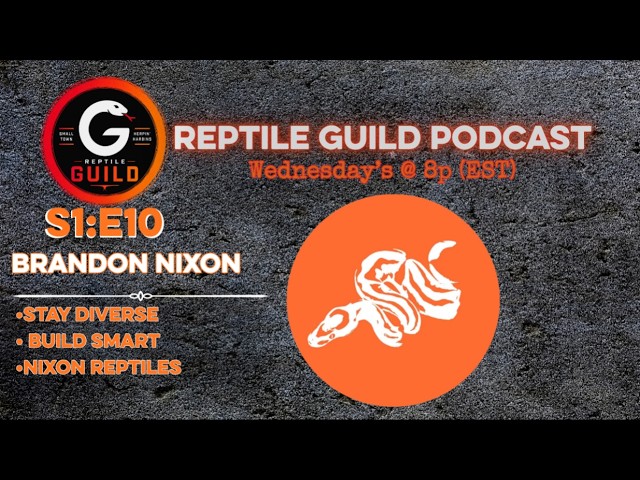 Nixon Reptiles | Ball Pythons & Building a Diverse Collection | Reptile Guild Podcast