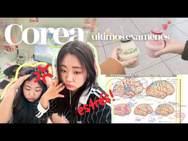 VLOG🎀 I pass or...REPEAT THE YEAR😟👩🏻‍🏫👺: (last) final exams, studying in Korea, psychology 🧠