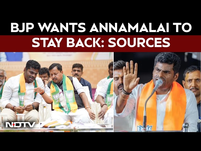 Annamalai BJP Latest News | Annamalai Makes Exit Intent Clear, BJP Tries To Retain Him: Sources