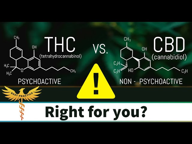 CBD vs THC...  A Doctor's take | CBD is a safe alternative for pain, anxiety, and sleep