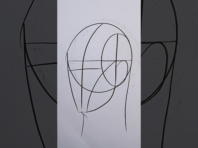 loomis method easy drawing using charcoal pencil #drawing