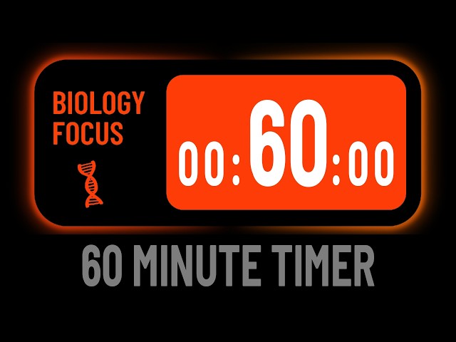 Minimalist Silent 60 Minute/1 Hour Countdown Timer For Biology Focus