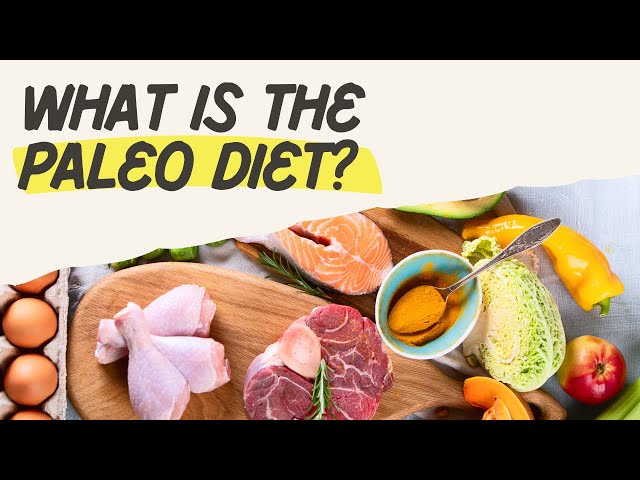 ¿Qué es la Dieta Paleo? | Guía para profesionales de la salud y la rehabilitación