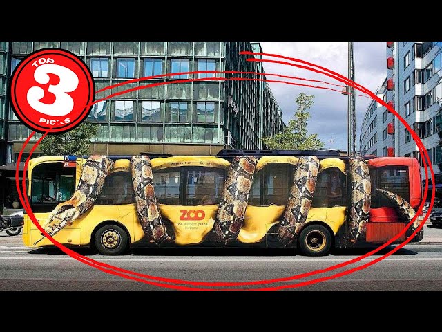 3 Biggest Snakes Ever Discovered