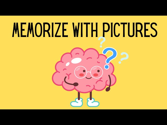 Study Tips for Visual Learners