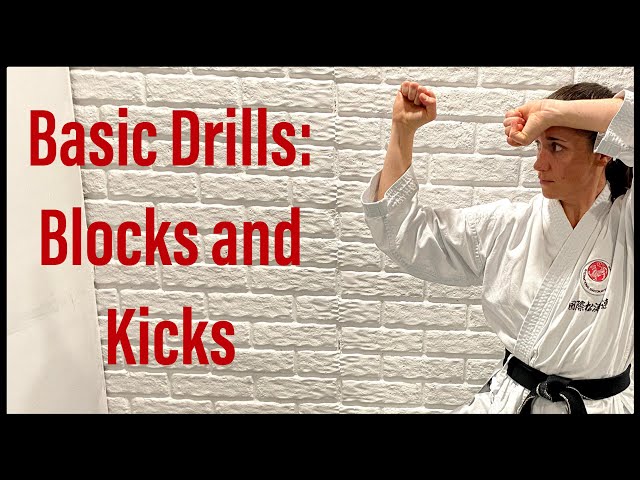 Karate workout: blocks and kicks