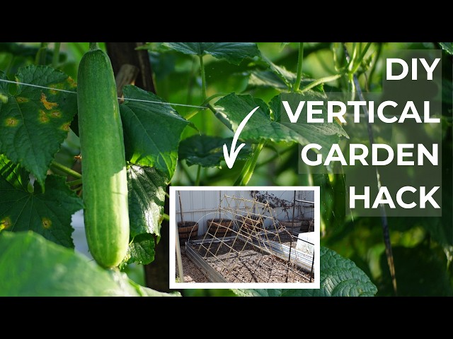 Build a Simple A-Frame Trellis with Bamboo in 30 Minutes | DIY Vertical Garden Hack