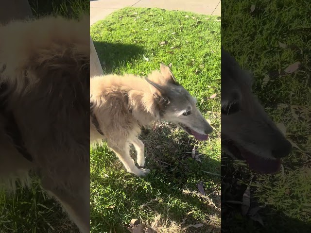 Need a little help getting started? 📝✨